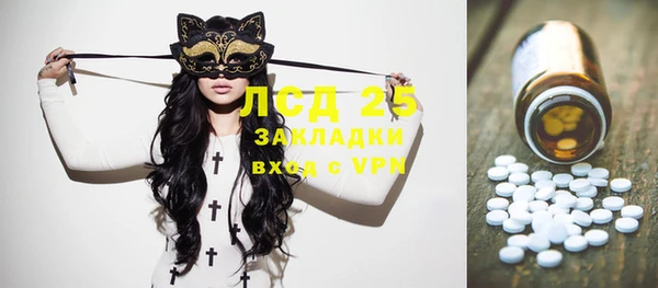 сатива Сатка