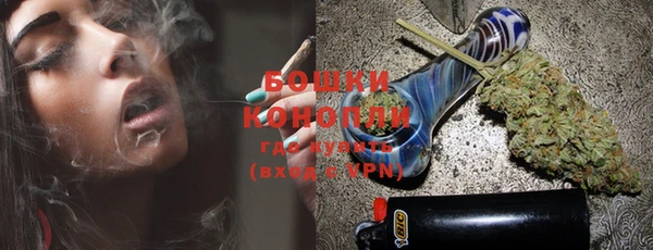 сатива Сатка